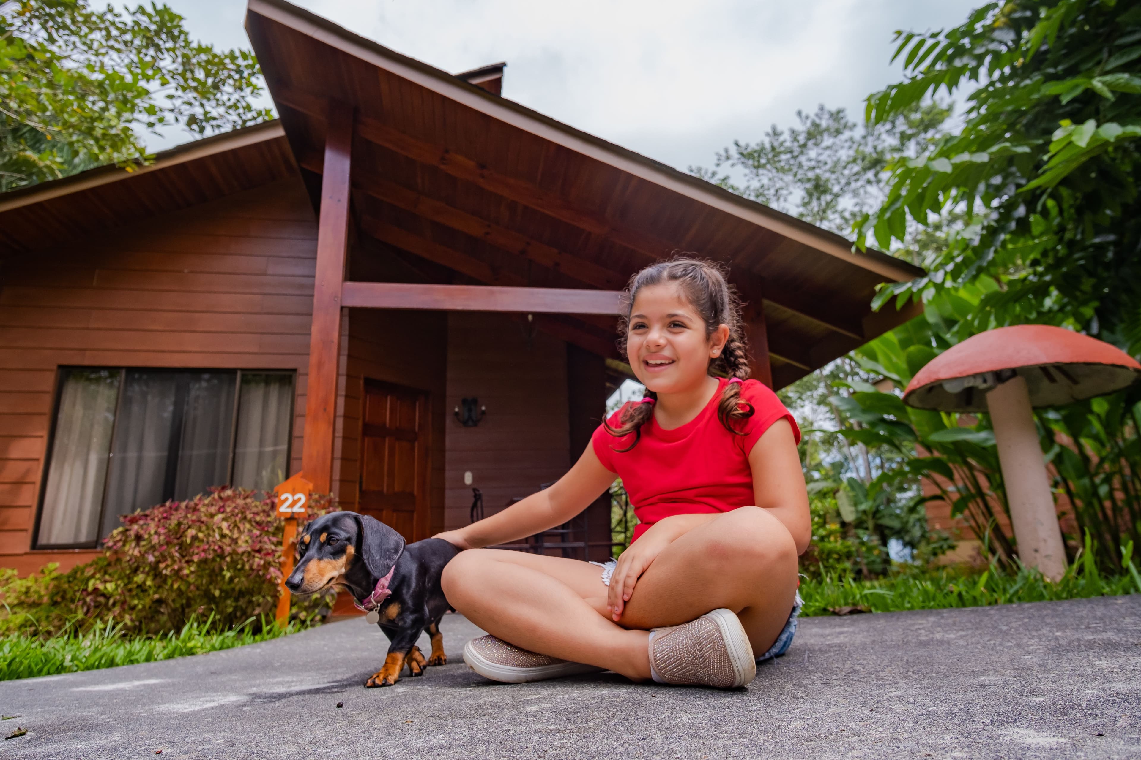 Pet Friendly 