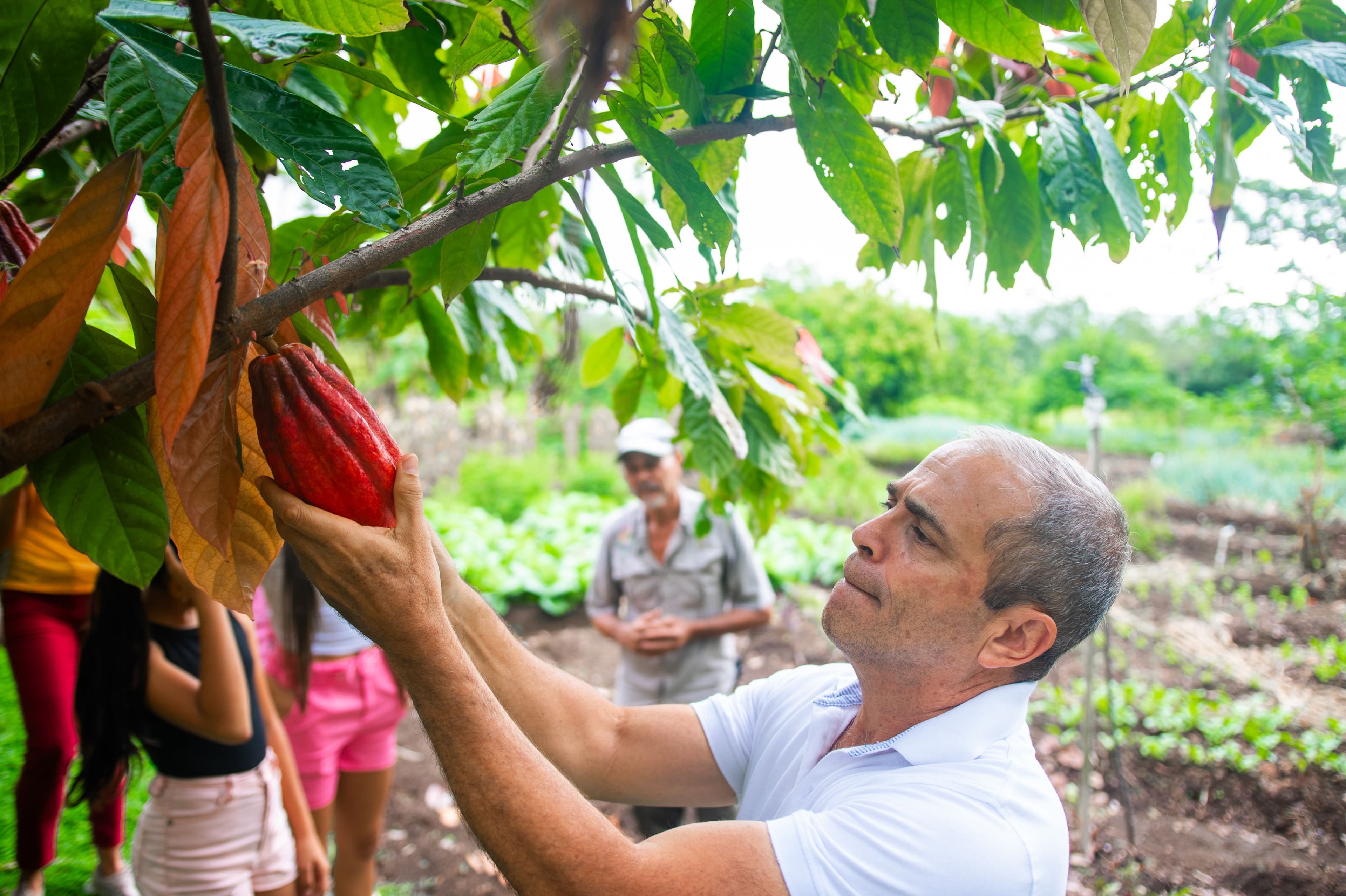 Mandala Organic Vegetable Garden