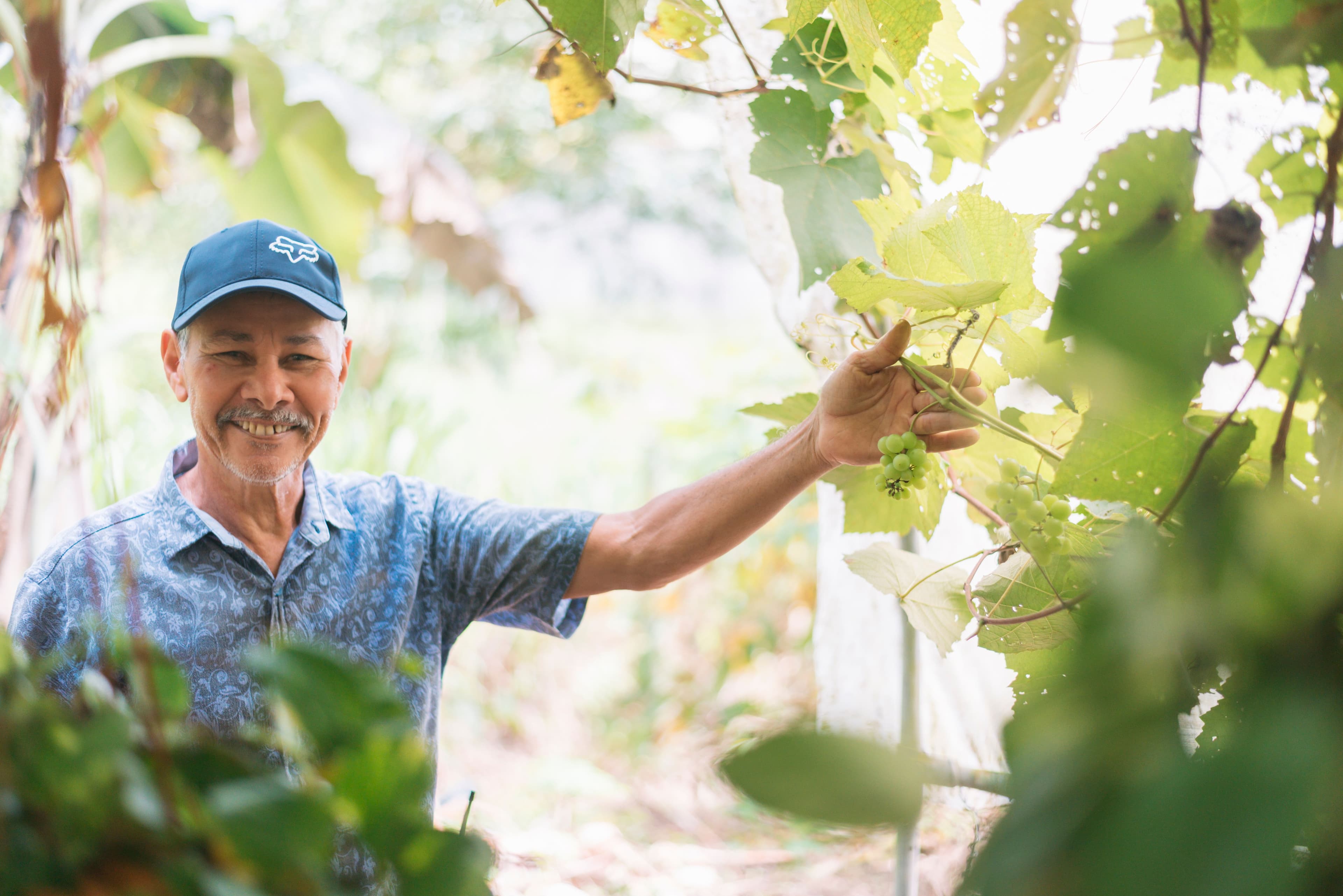 Mandala Organic Vegetable Garden